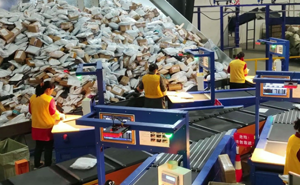 物流動態DWS設備